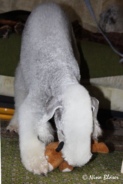 Quincy 2009-06-11 (4).JPG